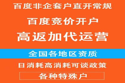SEM投放策略：成功案例解析