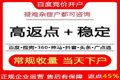 竞价推广策略解析：实战案例分析